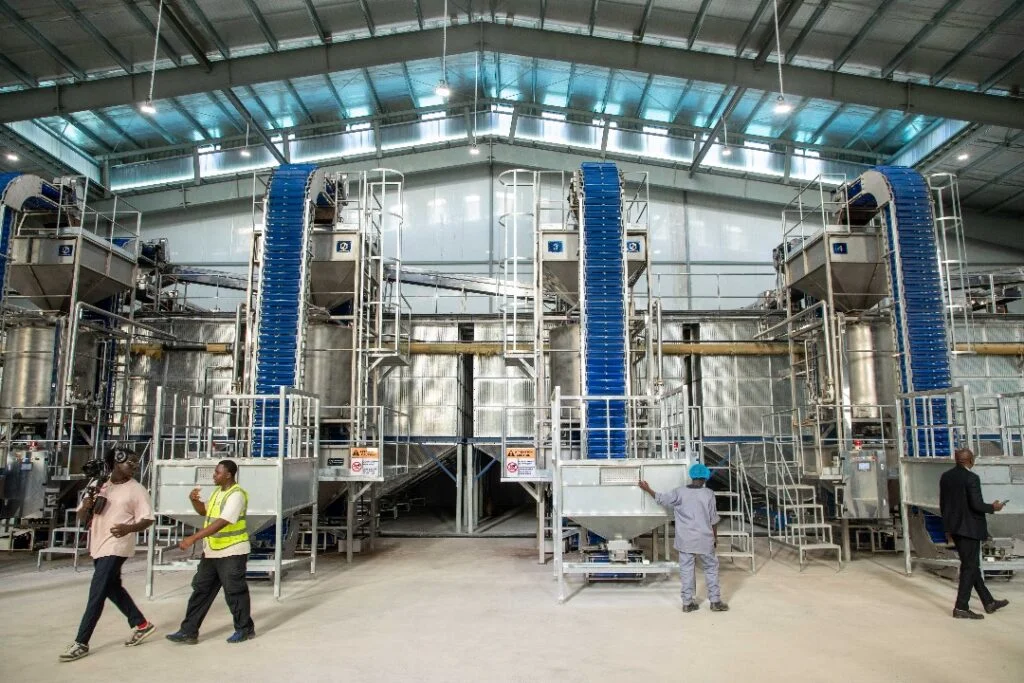 Site de Haffia — Ligne de tri industriel automatisée